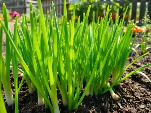 Najpierw makijaż czy fryzura? Odkryj idealną kolejność stylizacji